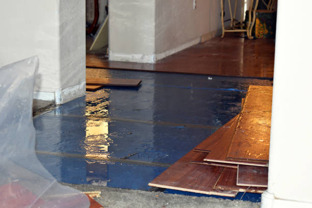 Professional Sewage Cleanup technician working in Coram, NY
